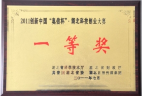 2011年湖北科技创业大赛“一等奖”